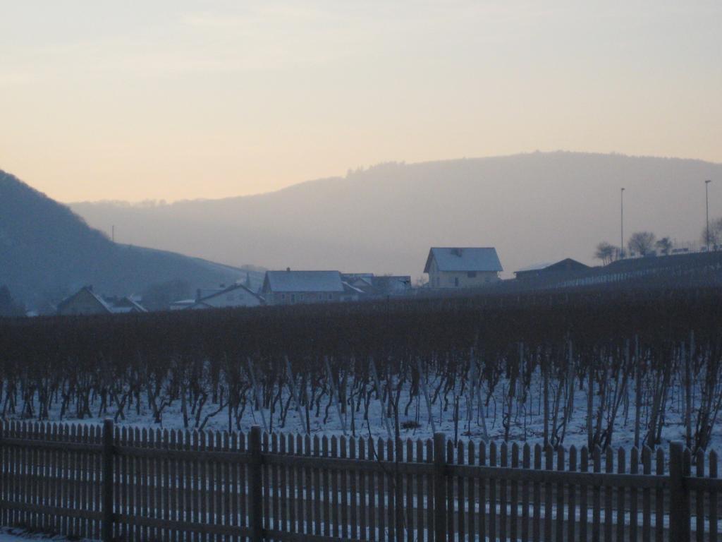 Moselschoen Das Ferienhaus Brodenbach Chambre photo